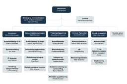 organisasjonskart131025